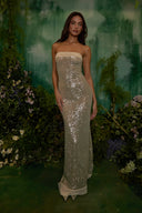 Soft Sequin Maxi Dress