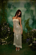 Soft Sequin Maxi Dress