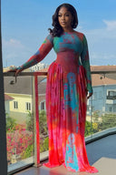 Color Block Sheer A-Line Dress