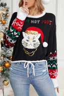 Casual rund hals kat broderi paliet sweater