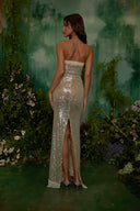 Soft Sequin Maxi Dress