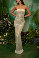 Soft Sequin Maxi Dress