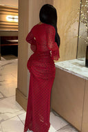 Glamorous Retro Polka Dot Sheer Mesh Maxi Dress