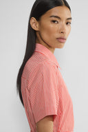 Typist Poplin Polo Midi Dress